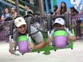 Day At Dorney Park Wild Water Kingdom Amusement Water Park