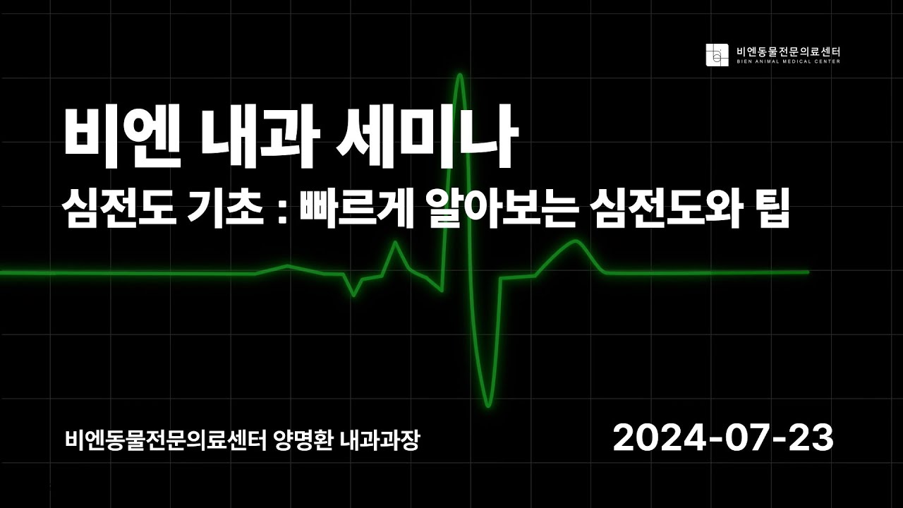 비엔 내과 세미나 : 심전도 기초 ~ 빠르게 알아보는 심전도와 팁 [양명환 내과과장] 240723