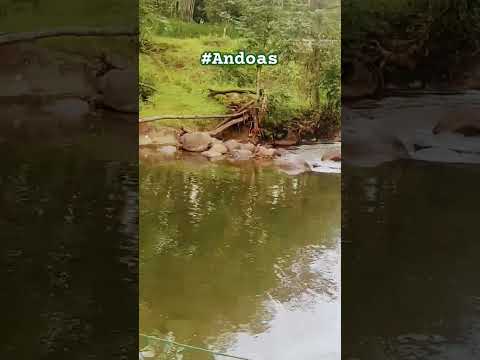 De paso por Andoas, Pedro Vicente Maldonado #andoas #paisajesnaturales #ecuador #naturaleza #nature