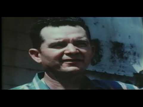 The Devil's Triangle 1974