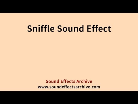 Sniffle Sound Effect - Royalty Free