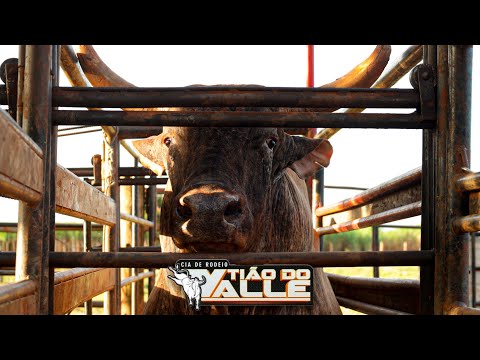 COMPLETE TRAINING - TIÃO DO VALLE RODEO COMPANY (OFFICIAL 4K)