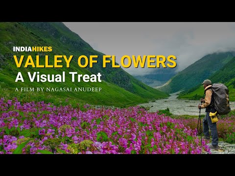 Valley Of Flowers | A Legendary Trail the World Wants to Trek in | By Nagasai Anudeep| Indiahikes