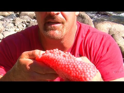 Caviar EATING RAW FISH EGGS