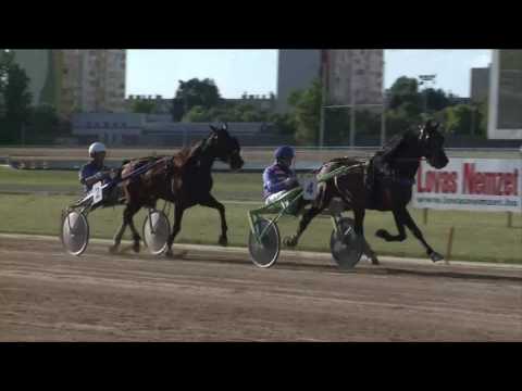 2017.06.10. 10. futam - DR. VECSEKLŐY JÓZSEF EMLÉKVERSENY - HEATVERSENY - III. FUTAM