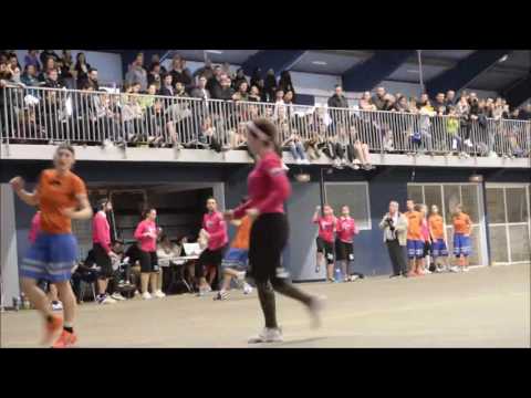 Tsunamixte 2017 - Point complet et Callahan Freezbitch - Ultimate frisbee