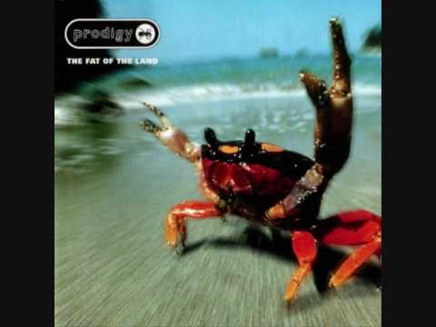 Mindfields - The Prodigy