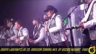 &quot;OLVIDA&quot; GRUPO LABERINTO