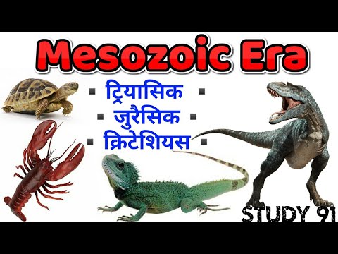 download lagu mp3 mp4 Era In Hindi, download lagu Era In Hindi gratis, unduh video klip Era In Hindi