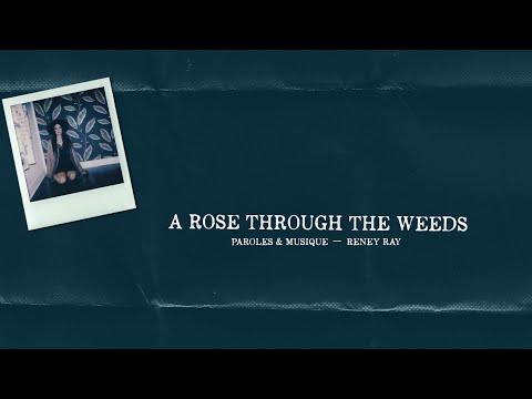 Reney Ray - A Rose Through the Weeds