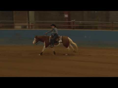 190322 NP Debra Halsey on Lil Scattergun