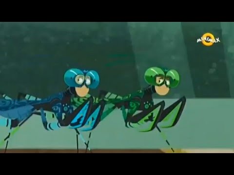 Braca Kret - Liturgusa Krettorum