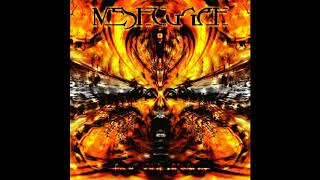 Meshuggah - Organic Shadows (original 2002)