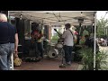 Coyote— Velvet Underground cover