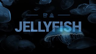 Relaxing Jellyfish & Underwater Sounds | Soothing & Mesmerizing for sleep