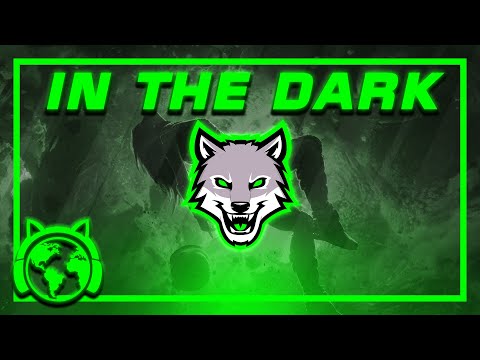 Alexander & NXTSUO - In The Dark