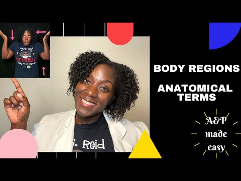 Body Regions and Anatomical Terms! Learn with me!