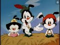Schnitzelbank Animaniacs CC