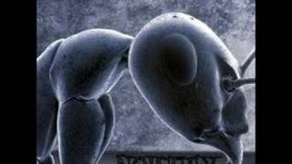 Noisuf-X orgazm