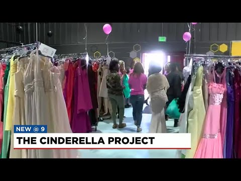 The Cinderella Project