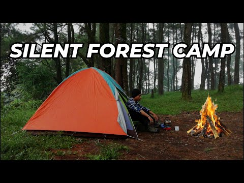 Silent Solo Camping in Pine Forest | ASMR Firewood, Grilling Fish, Morning Coffee
