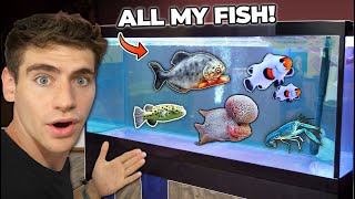 ALL MY FISH & RARE EXOTIC ANIMALS!!! (back home tour)