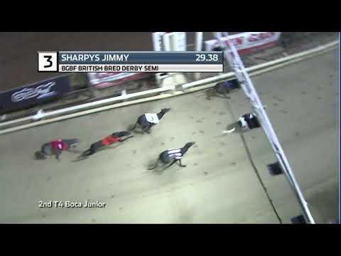 2020 BGBF BRITISH BRED DERBY - 3RD SEMI - T3 SHARPYS JIMMY