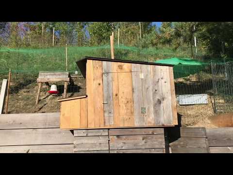 Hühnerwelt 1 Hühnerstall bauen ! Ein Schritt Richtung Selbstversorgung 09 - 2019