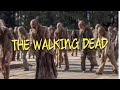 THE WALKING DEAD Season 11 Full Movie In English Horror Thriller
