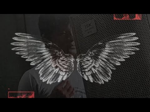 phaseOne X Polaris - Icarus (cover)