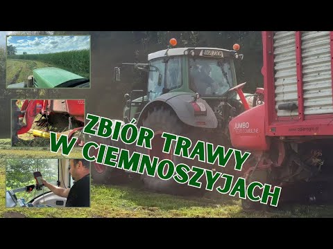 Grass harvesting in Ciemnoszyje FENDT 826 Vario POTTINGER JUMBO 7220 Combiline Farmers from Podlasie