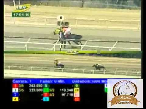 LA RINCONADA 1 CARRERA, DOMINGO 17 DE ABRIL DEL 2016