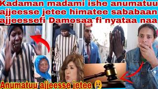 Download lagu ππ’Micayyoon madami ishe ajjefatee anumatuu ajjeesse jetee himatee Damosaa malee naa hojisisaa jirat mp3 Download lagu ππ’Micayyoon madami ishe ajjefatee anumatuu ajjeesse jetee himatee Damosaa malee naa hojisisaa jirat mp3