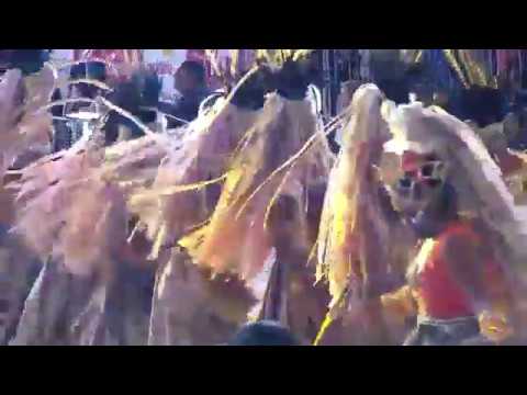 Imperatriz Dona Leopoldina - Carnaval Porto Alegre 2017 - Grupo Especial