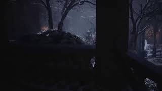 愛する者を助けるために[バイオハザードヴィレッジ]＃2