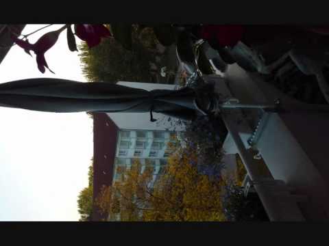 DJ Graf PW   In the Clut