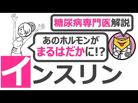 基礎インスリンの高低 – 基礎インスリンとは何か、症状、検査、ヒント