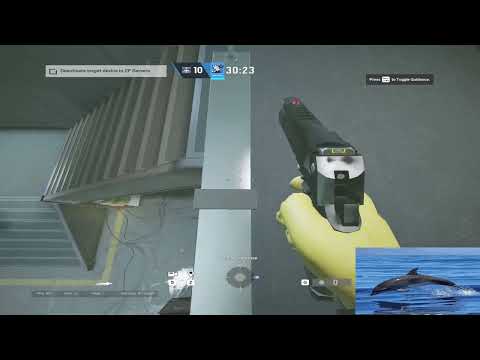 2F - Warehouse Planterbox - Solo
