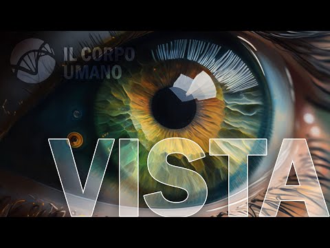 La Vista e l'occhio - Sensi e organi di senso | Il Corpo Umano