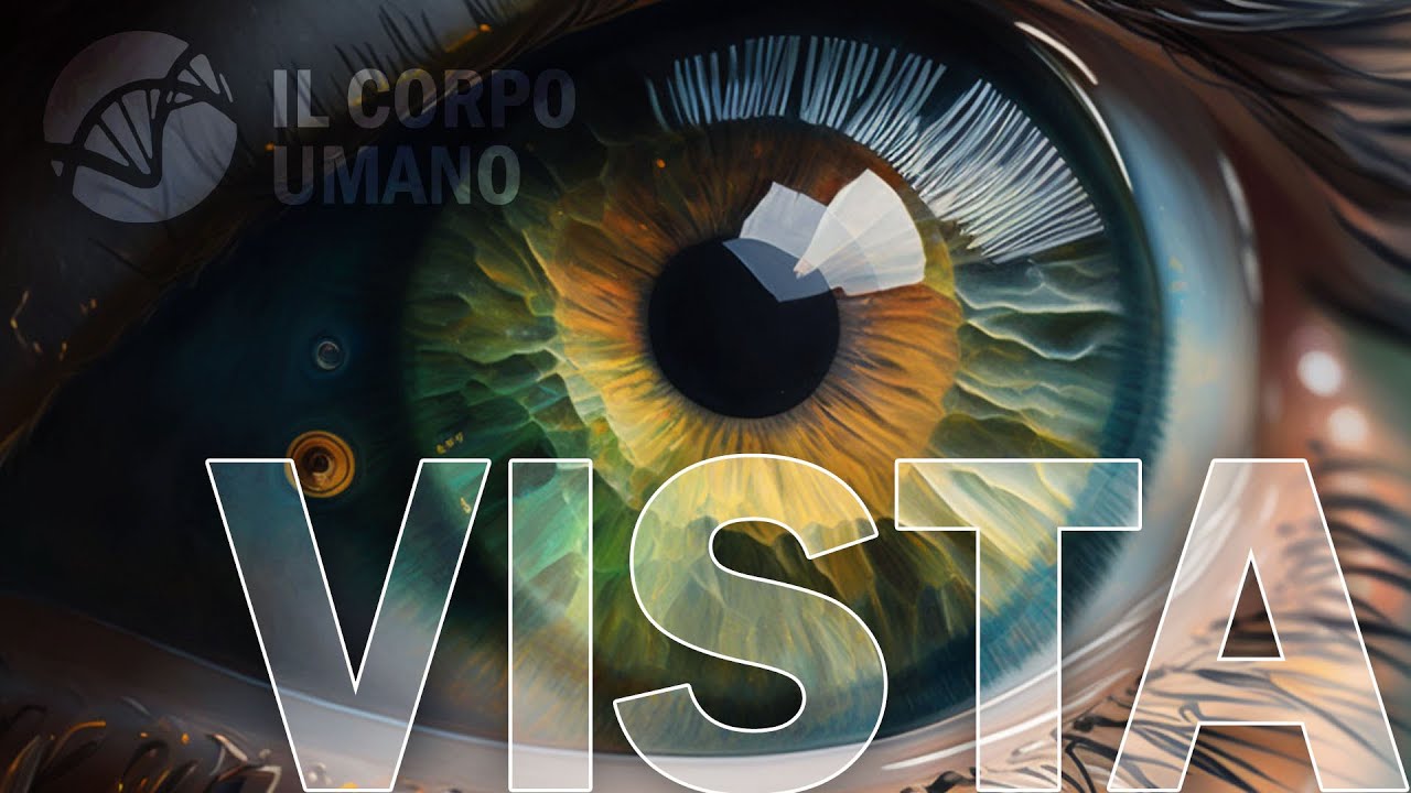 Sight and the Eye - Senses and Sense Organs | The Human Body