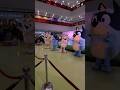 Meet And Greet With The Whole Heeler Family Bluey Blueybingo Blueytoys