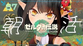 #67《朝活ハイラル》ゼルダの伝説TotK《#9onLIVE》