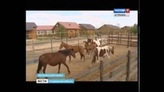 Новый год на рыболовной базе