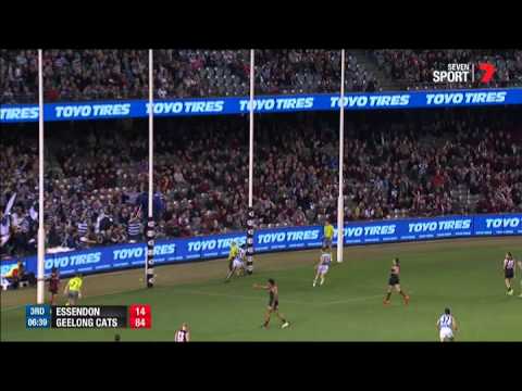 Round 10 AFL - Essendon v Geelong Cats Highlights