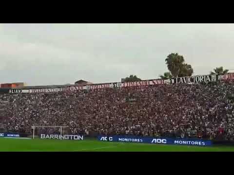 Llora cabro soplón - campeones 2017