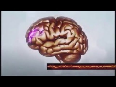 Die Seele im Kreislauf des Lebens und Sterbens DEUTSCH SYNCHRONISIERT