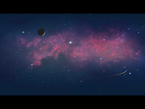 The Disko Starz - Pareboner Starz