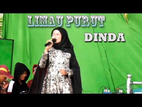 LAGU JAMBI ~ LIMAU PURUT ~ DINDA AMELIA ~ Official Video Musik Harmaini