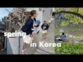 Raising A Child In South Korea Spring Pollution Shopping At The Local Market A Museum Trip