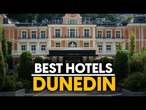 Best Hotels In Dunedin, New Zealand - Top 5 Picks For Any Budget